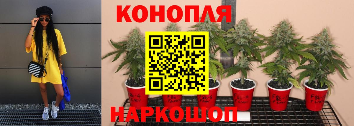 Кувандык  Бошки марихуана марихуана  Бошки Шишки VHQ  Вход с VPN  Каннабис тримм 